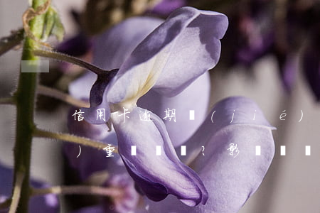 信用卡逾期結(jié)清后果嚴(yán)重嗎？影響、解決方案及可能的后果全解析